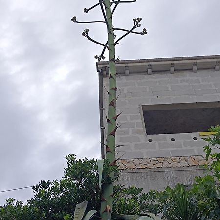 ApartMarin Trogir Bagian luar foto