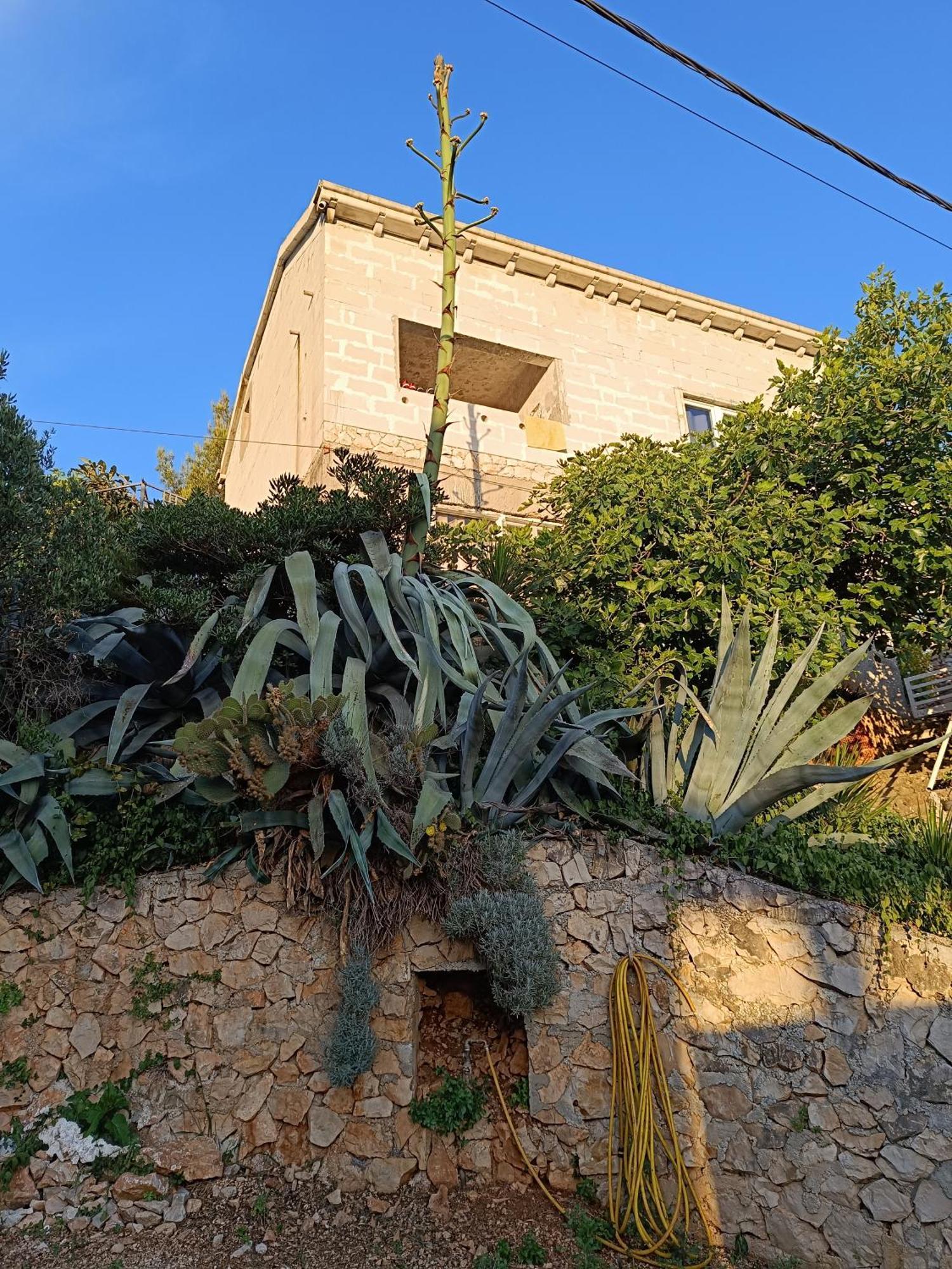 ApartMarin Trogir Bagian luar foto
