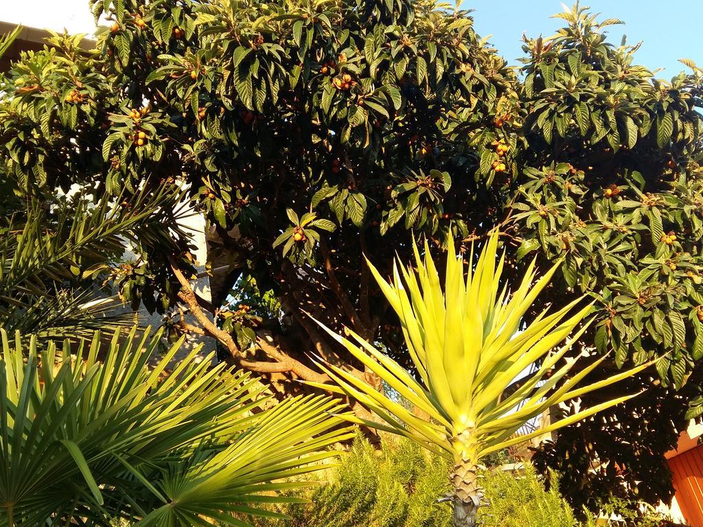ApartMarin Trogir Bagian luar foto